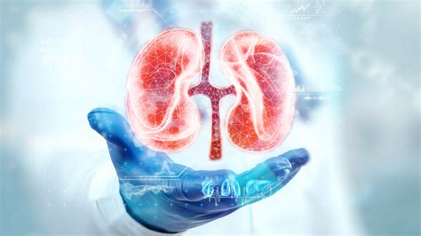 Nefropatia Diabetica Simptome Cauze Tratament