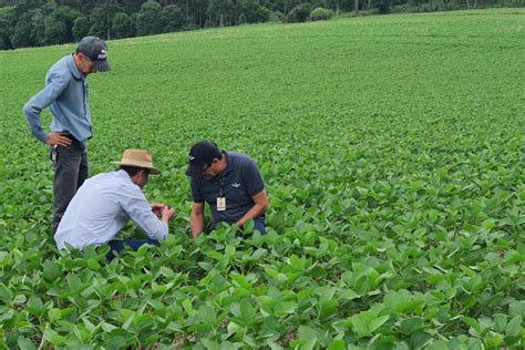 Giro Técnico da Soja divulga boas práticas de cultivo a produtores no