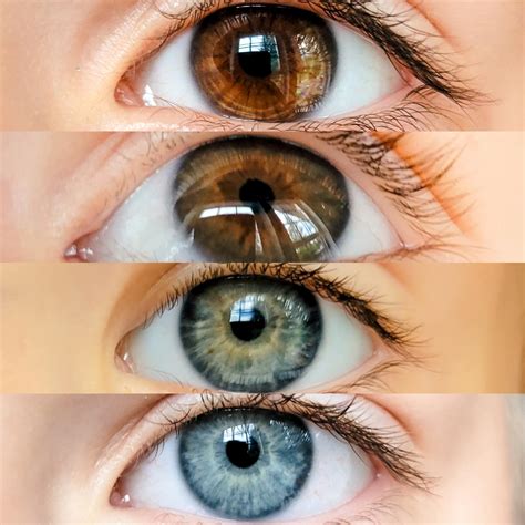 My Husband Has Brown Eyes I Have Blue These Are Our Four Childrens