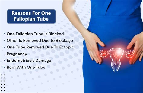 Blocked Fallopian Tube Symptoms Causes, Diagnosis, And, 01/15/2023