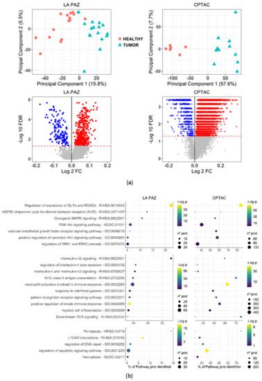 Cancers Free Full Text Proteomic Analysis Of Low Grade Early Stage