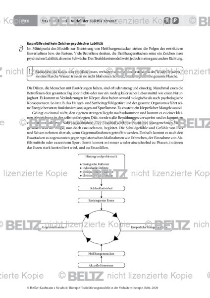 St Rungsmodelle Das Teufelskreis Modell Der Bulimia Nervosa