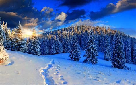 Neige hiver des paysages HD Fonds d écran Aperçu 10wallpaper