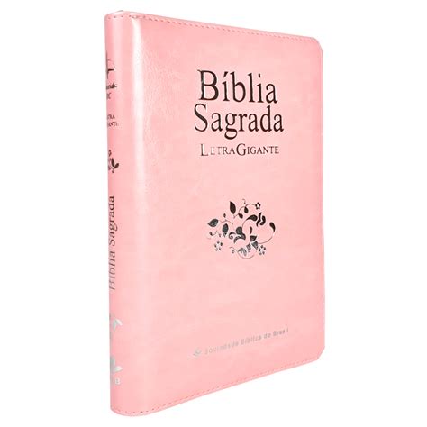 Kit Bíblia Sagrada ARC Letra Gigante Zíper Rosa Devocional