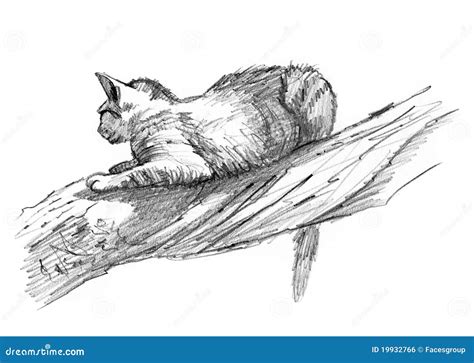 Sand Cat Drawing Sketch On A Tree Stock Illustration - Image: 19932766