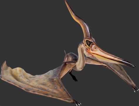 140072 Pteranodon Ingens 140072 Dinosaur Resin Replica Dinosaurs