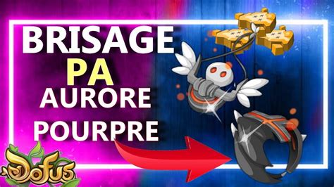 Brisage PA Amulette Anneau Aurore Pourpre DOFUS YouTube