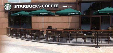 Starbucks Coffee Phoenix Market City Chennai Velachery | Chennai ...