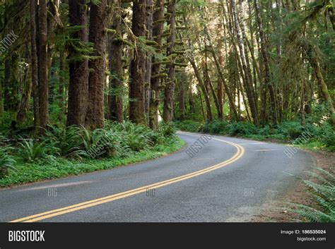 Two Lane Road Cuts Image And Photo Free Trial Bigstock