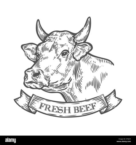 Cow Head Fresh Beef Organic Meat Hand Drawn Sketch In A Graphic Style