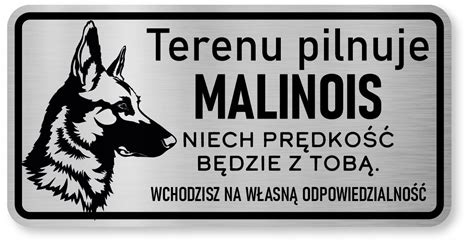 Tabliczka Uwaga Pies Owczarek Belgijski Malinois Allegro Pl