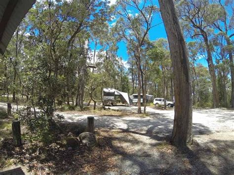 Cypress Pines Boonoo Boonoo National Park