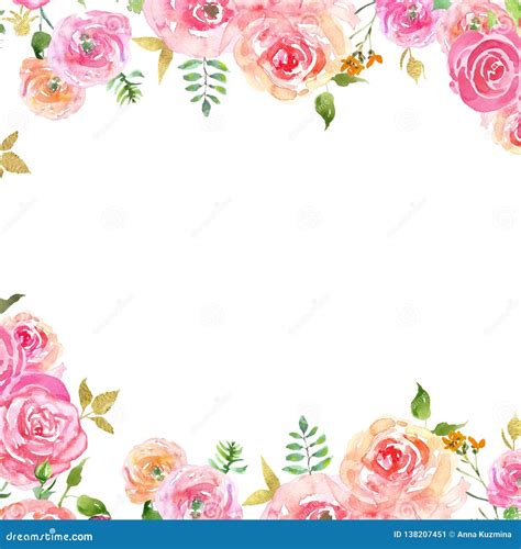 Pink Gold Border Stock Illustrations 23105 Pink Gold Border Stock