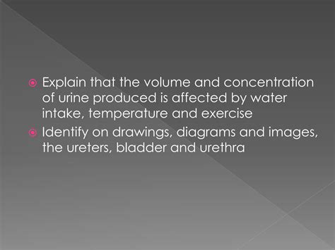 SOLUTION Igcse Biology Excretion Urinary System Studypool