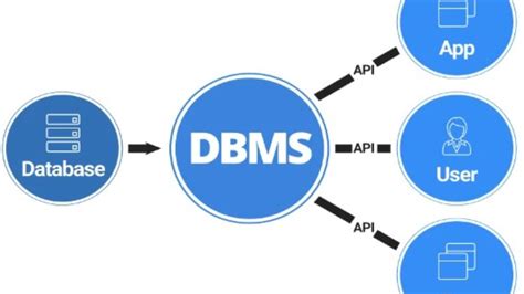 Basis Data Database Pengertian Fungsi Jenis Hingga Contohnya Semarsoft