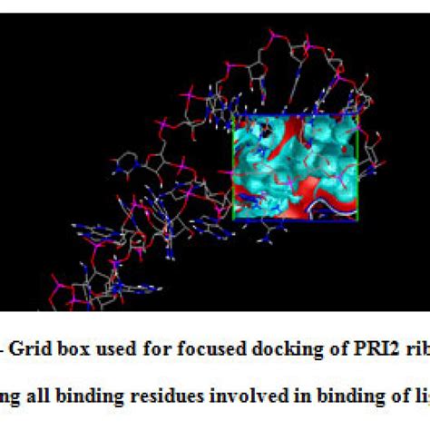 In Silico Prediction Of Riboswitches And Design Of Their Potent