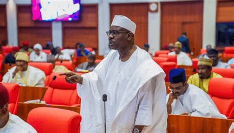 Ndume Opposes Military Invasion Of Niger At Ecowas Parliament