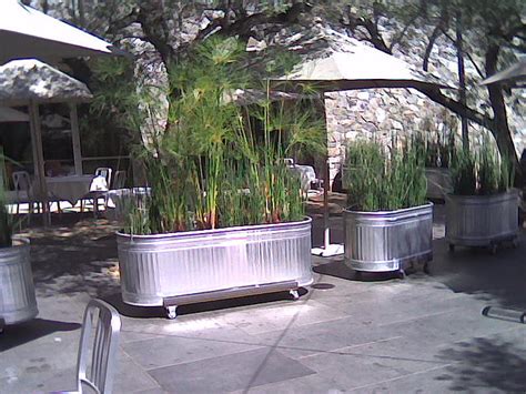 Galvanized Stock Tanks In The Garden Thinking Outside The Boxwood