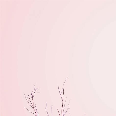 Pastel minimalist desktop wallpaper hd - Aslodry