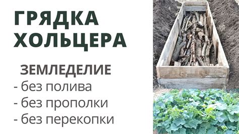 Грядки Хольцера. Урожай без хлопот - посадил и забыл :) - YouTube