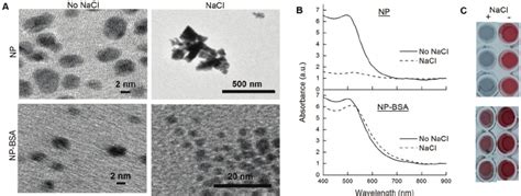 Colloidal Stability Of Naked NPs And NPs With A BSA Protein Corona