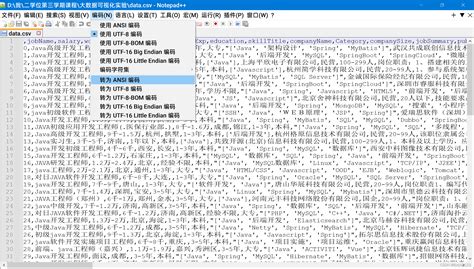 Csv Csv Excel Notepad Csdn