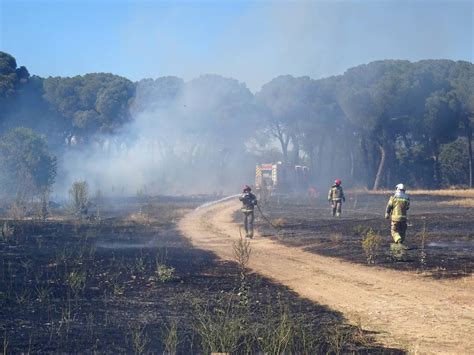 Fotos El fuego calcina la última chabola de Pinar de Jalón en