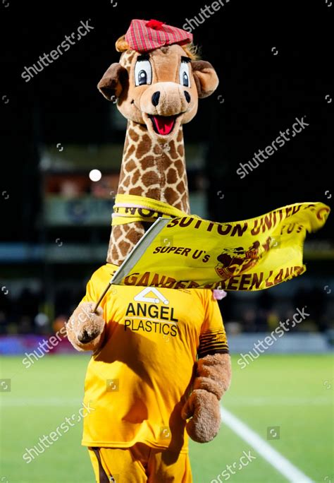 Sutton United Mascot Jenny Giraffe Editorial Stock Photo Stock Image