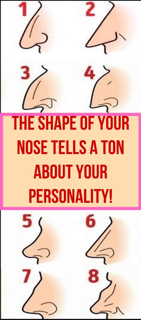 The Shape Of Your Nose Tells A Ton About Your Personality ...