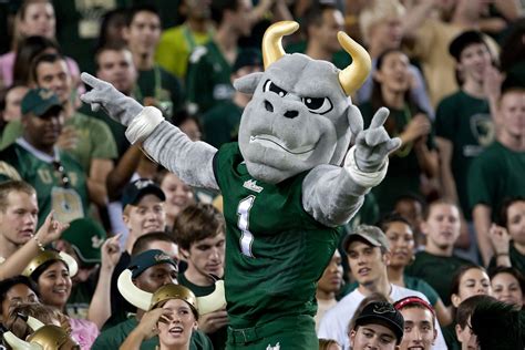 University Of South Florida Football