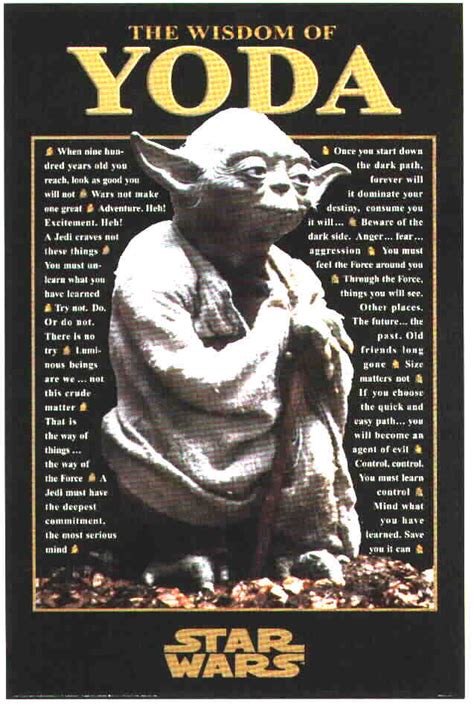 Quotes Wisdom Of Yoda Quotesgram