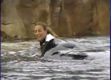 Did Dawn Brancheau Make A Mistake, Or Was SeaWorld Taking Risks With ...