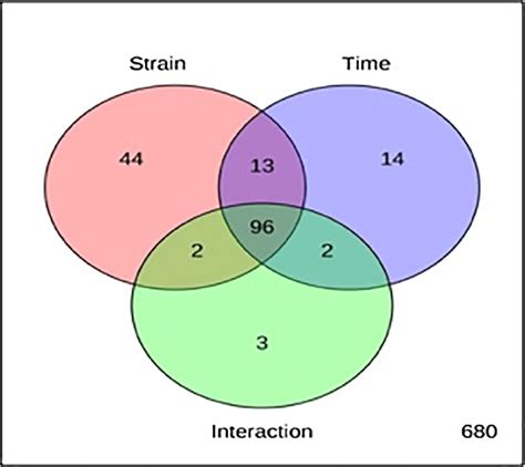 Two Way Analysis Of Variance Anova The Red Circle With 155