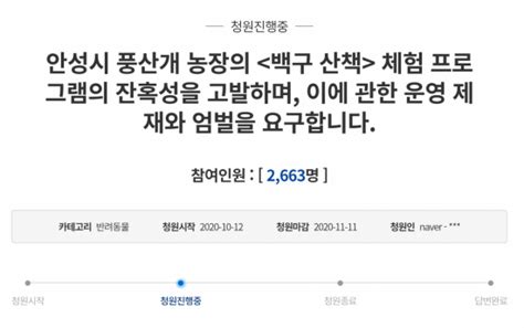 2만원 내면 새끼강아지 산책 안성시 풍산개 산책 체험 동물학대 논란