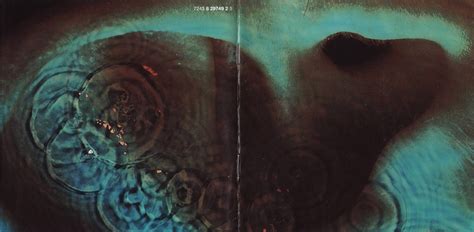 Pink Floyd Meddle Album Cover