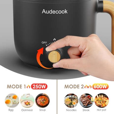 Audecook Hot Pot électrique avec Cuiseur à Vapeur 1 5L Portable PoêLe