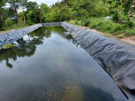 HDPE Pondliner Sheets Siddhivinayak Plastics