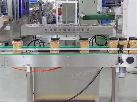 Automatic Linear Weigher Plastic Bottle Nuts Granule Bottling Filling