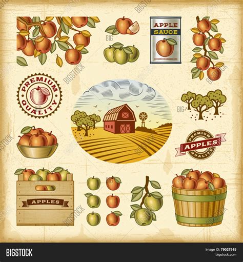 Vintage Colorful Vector & Photo (Free Trial) | Bigstock