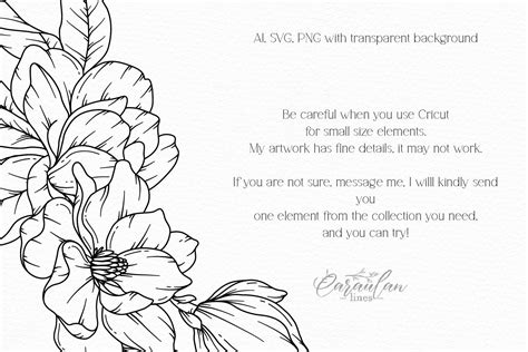 Magnolia Svg Magnolia Line Drawing Svg Hand Drawn Magnolia Botanical