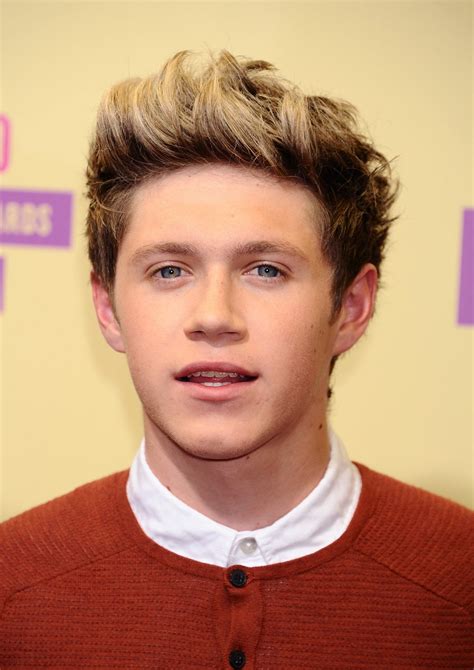 Niall Horan One Direction Hairstyle Etcetera Etcetera