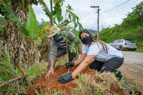 Projeto Florir Teres Polis Faz Plantio De Mais Mudas De Rvores