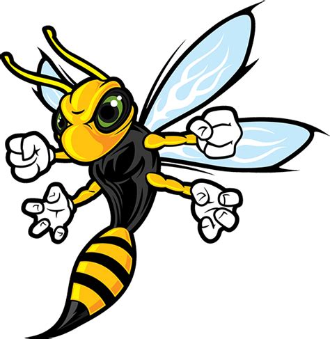 Head Clipart Hornet Head Hornet Transparent Free For Download On