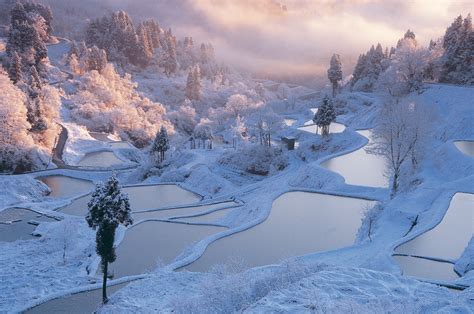 【日本の冬絶景】雪国の伝統の美しさ 新潟県の雪景色 Tabizine～人生に旅心を～