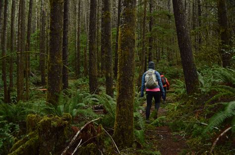 Top 10 Oregon Winter Hikes - Hike Oregon