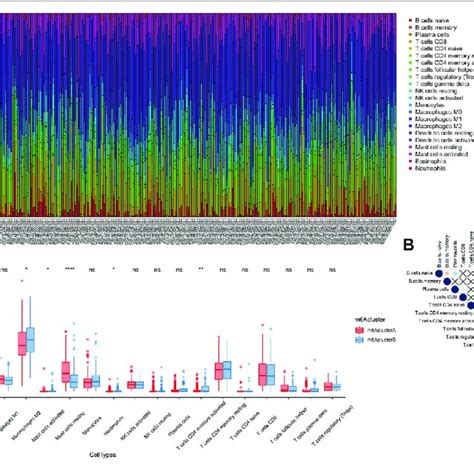 Effects Of Different M6A Modification Patterns On The Immune