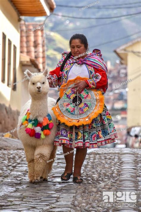 Local Woman In Traditional Costume With A Decorated Alpaca Vicugna