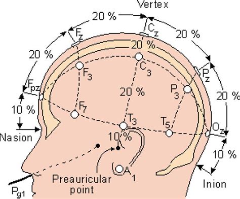 Localization Of Eeg Electrodes F Frontal Fp Polar Front A