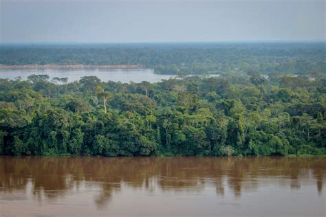 The Congo Basin – Norway's International Climate and Forest Initiative