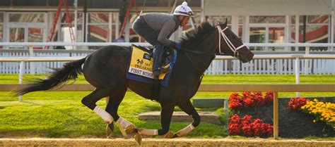 Preakness Stakes First Mission Odds Picks Predictions